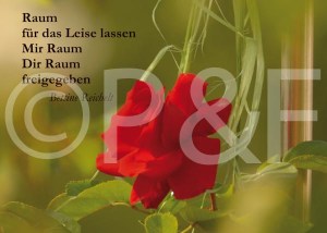 P&F Postkarte Rote Rose