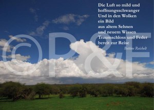 P&F Wolkensommer P001