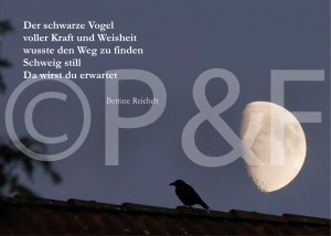 MondDach_mit TextBR-Seite001